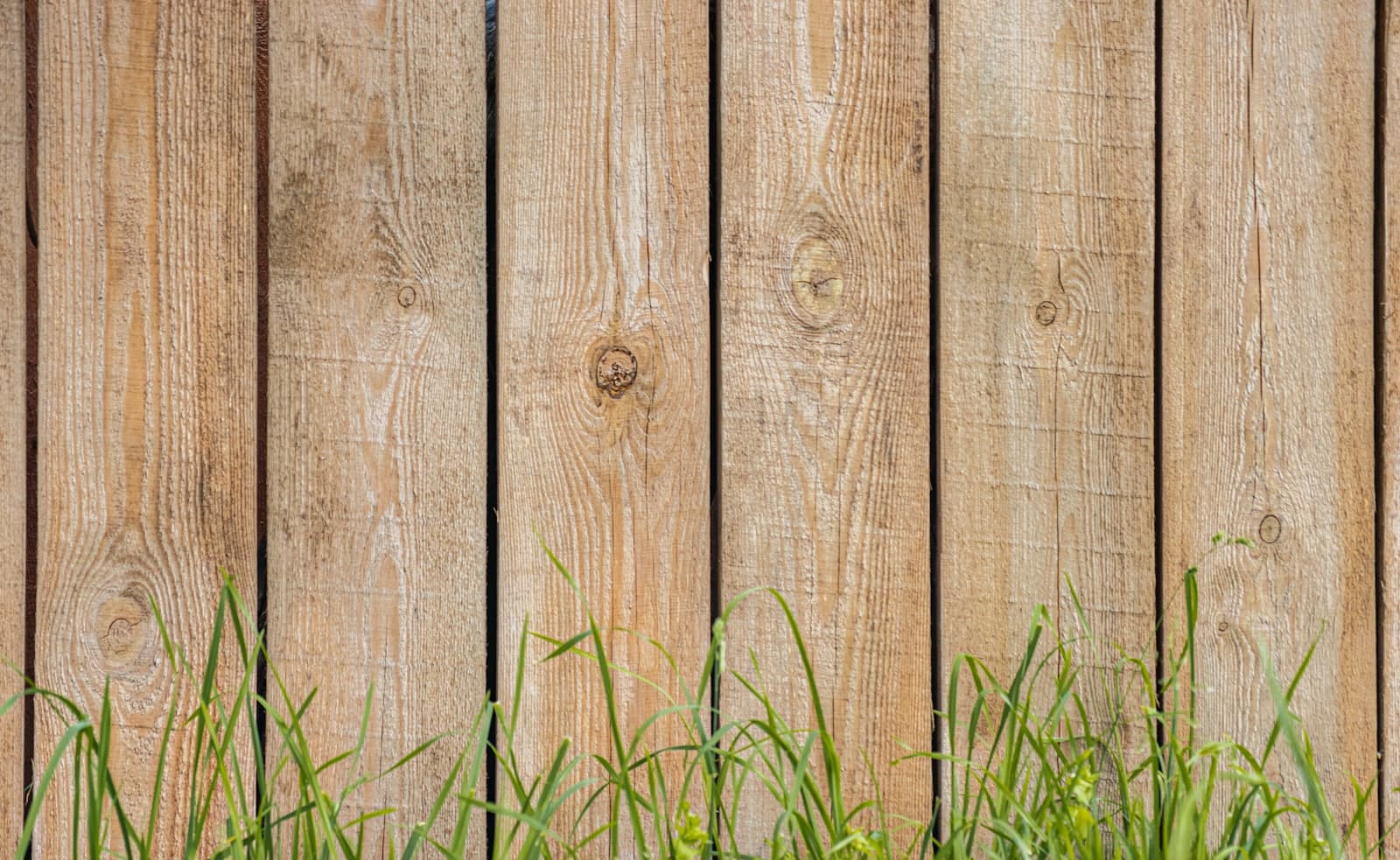 A newly built timber paling fence along a suburban boundary