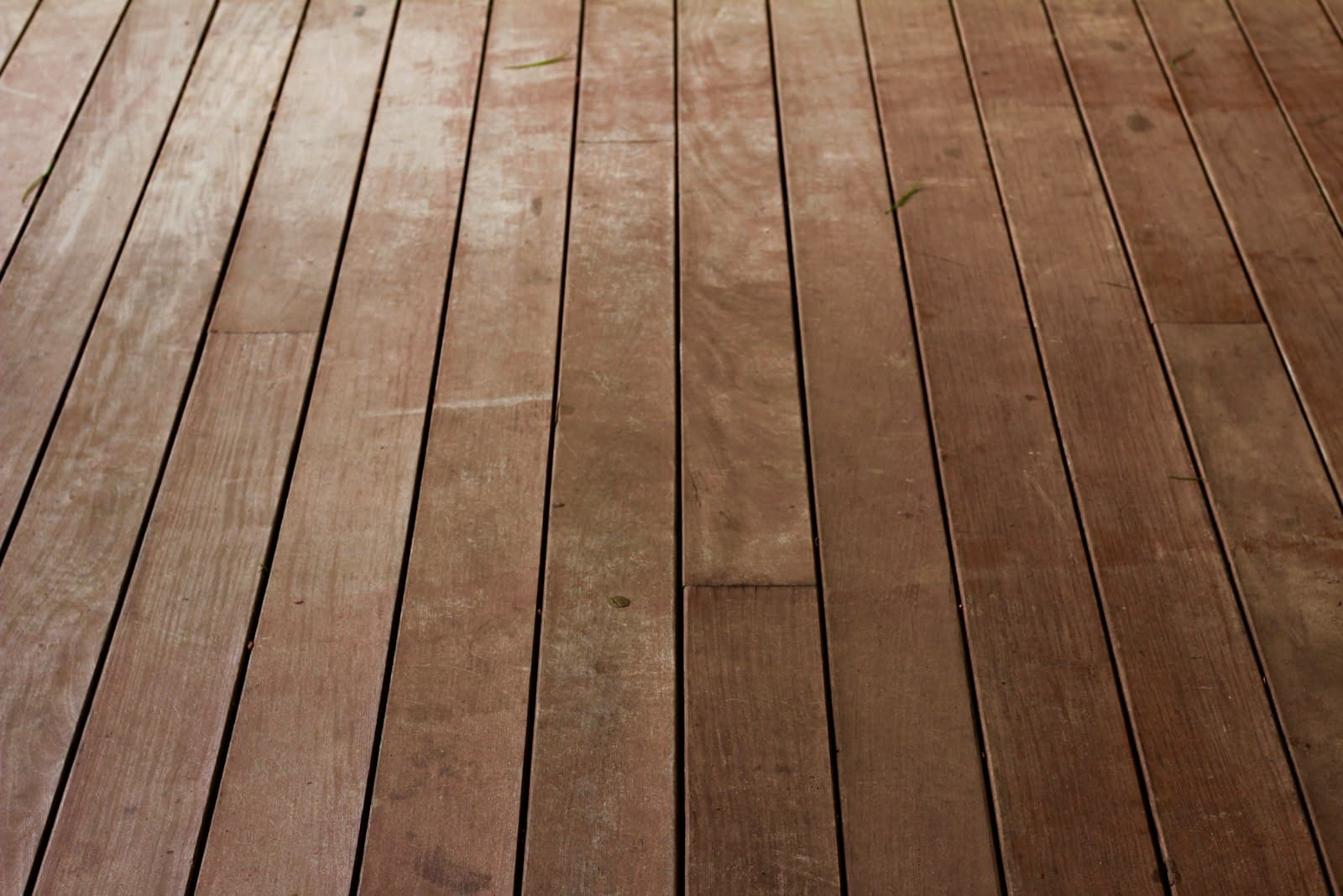 Warm timber floorboards laid across a room