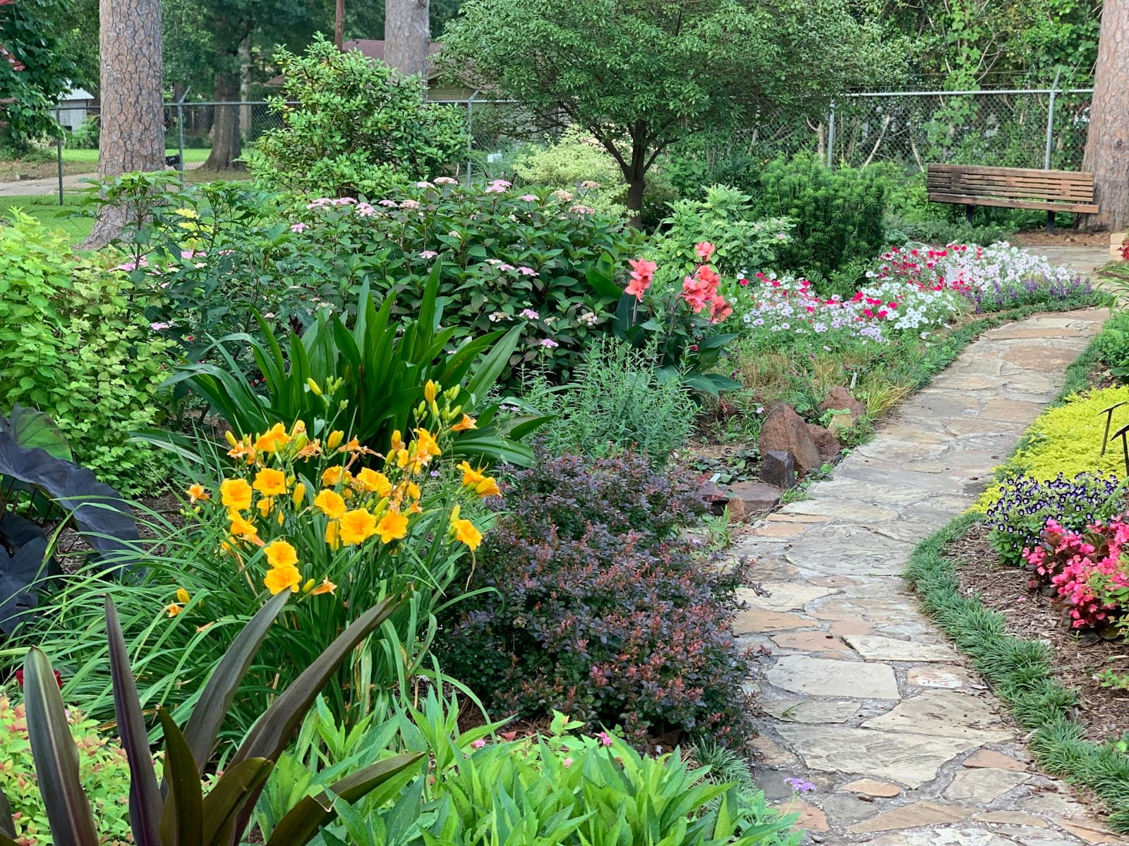 A landscaped backyard with paving, planting and a lawn area