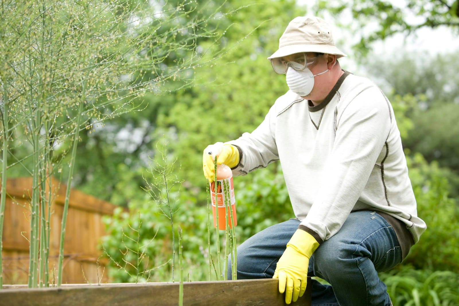 A licensed pest technician treating the exterior of a home