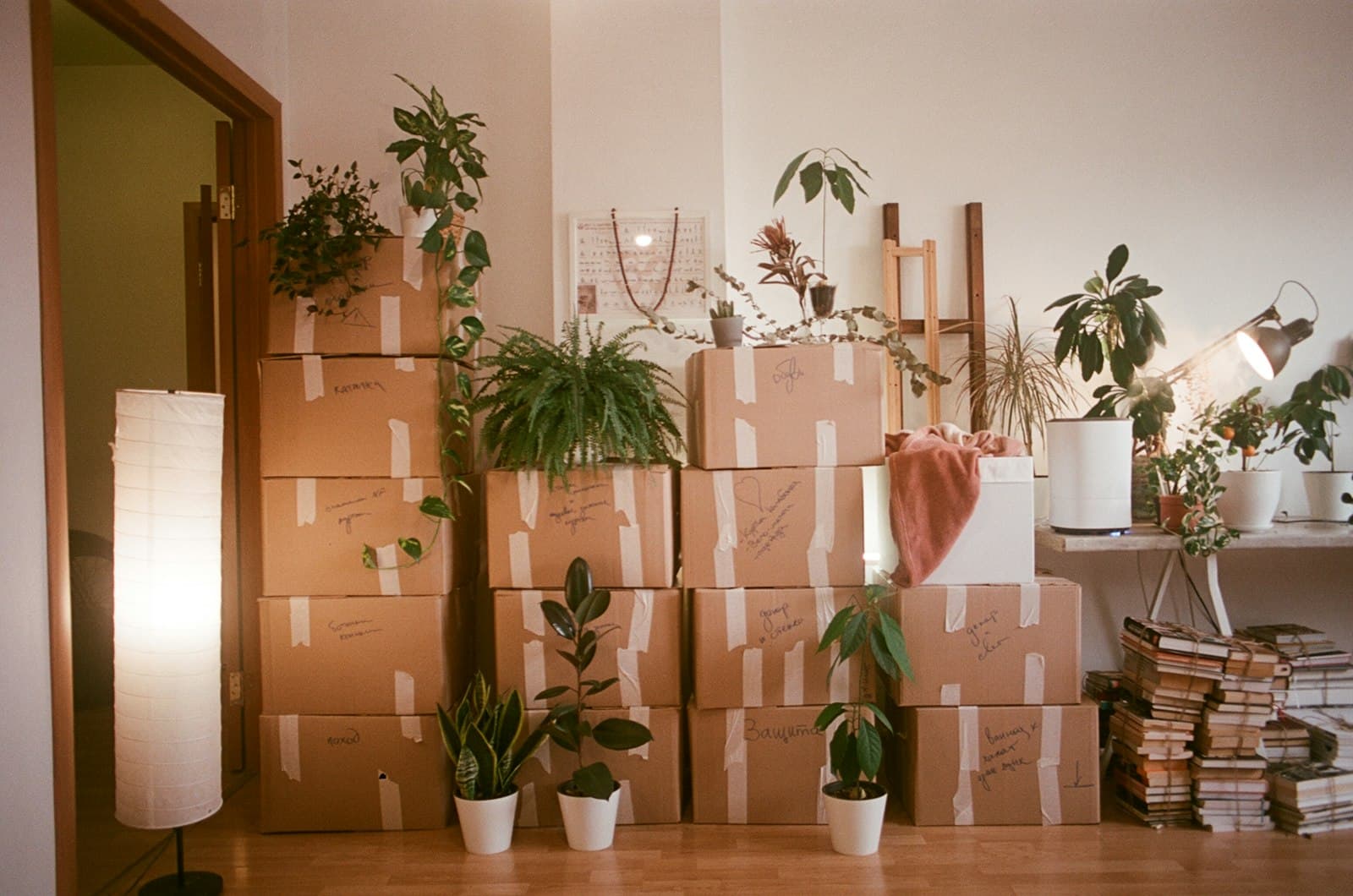 Movers carrying furniture into a removal truck